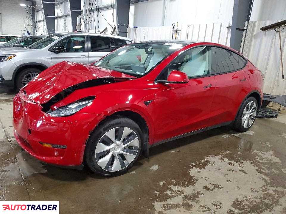 Tesla Model Y 2021
