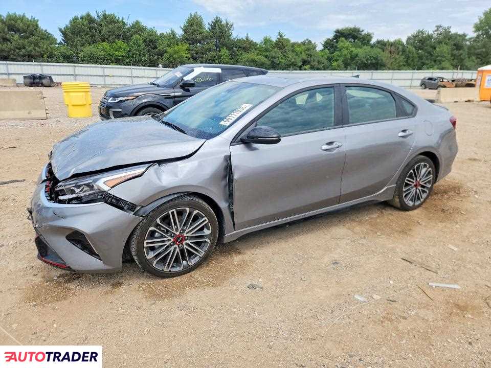 Kia Pozostałe 2024 1
