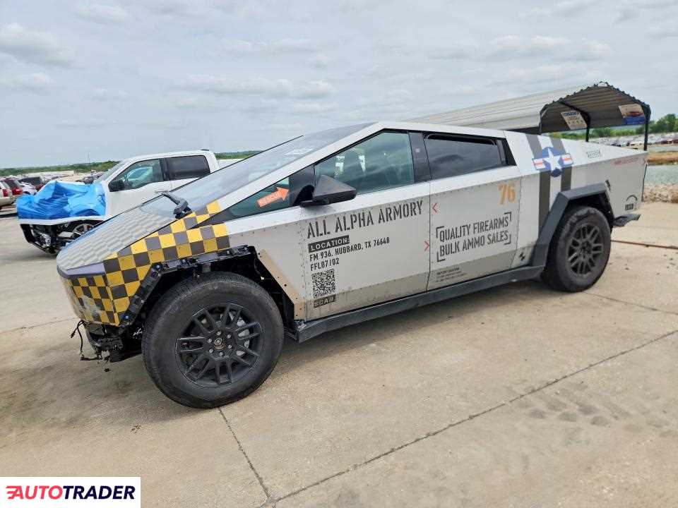 Tesla Pozostałe 2024