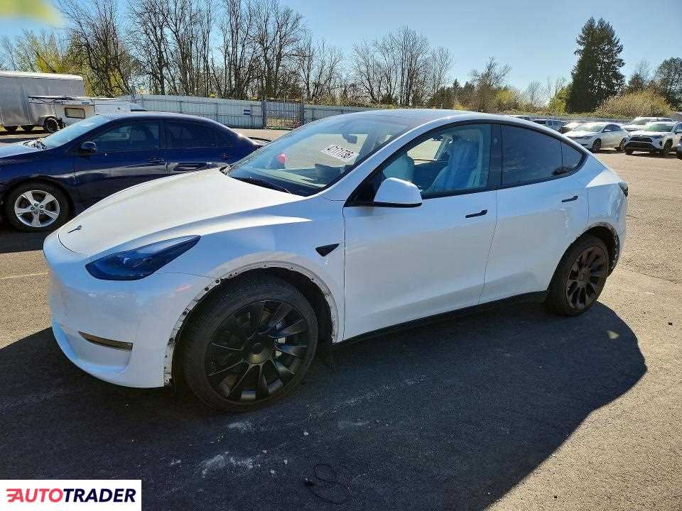 Tesla Model Y 2024