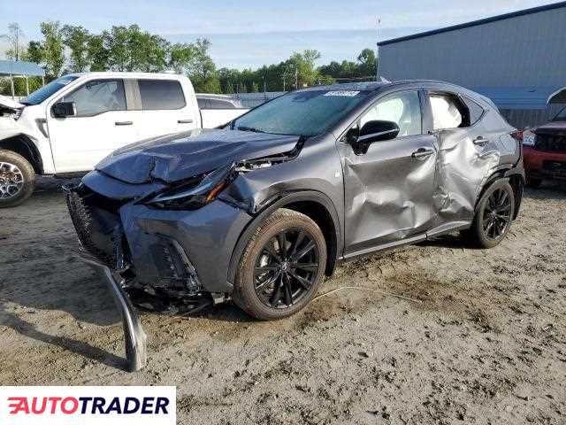 Lexus NX 2024 2