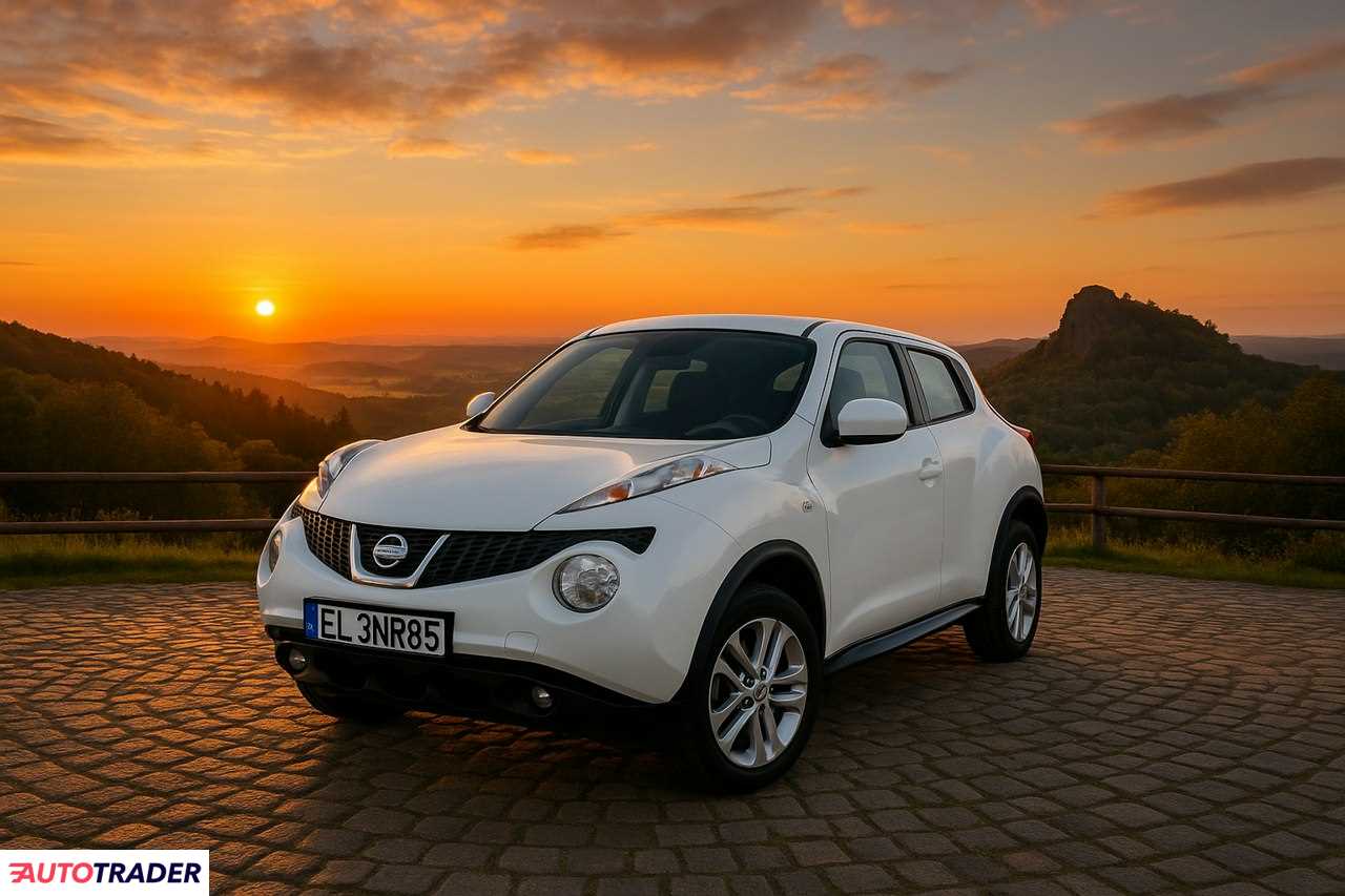 Nissan Juke 2013 1.6 117 KM