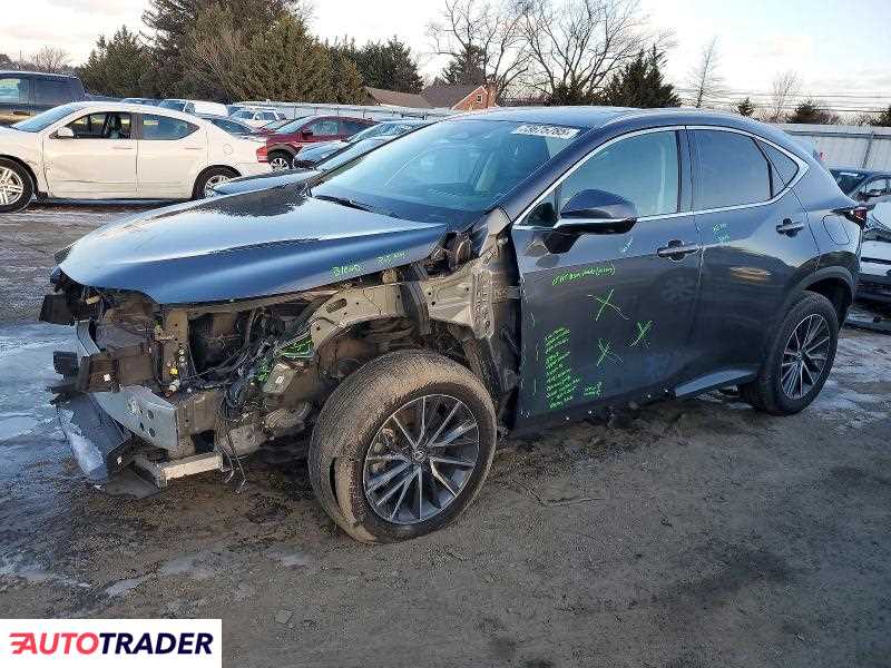 Lexus NX 2024 2
