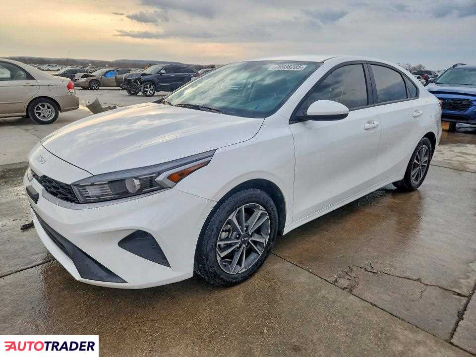 Kia Pozostałe 2024 2