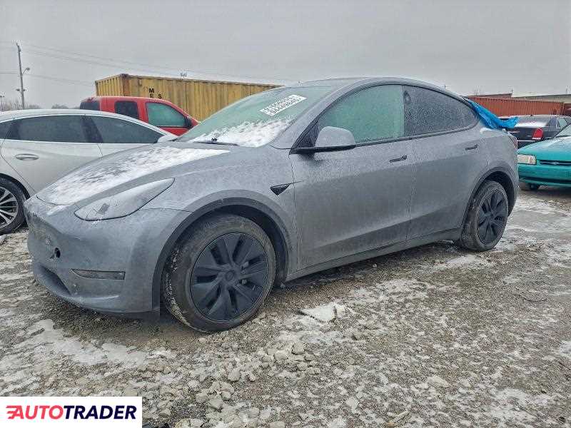Tesla Model Y 2025