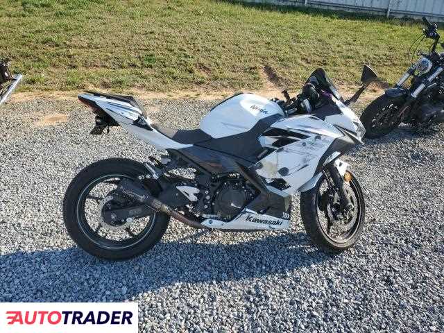 Kawasaki Pozostałe 2023 Kawasaki Pozostałe 2023