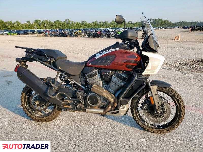 Harley-Davidson Pozostałe 2024