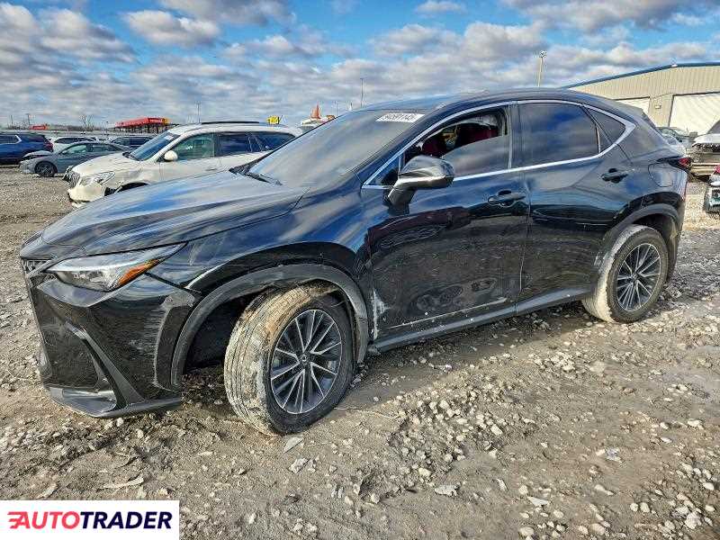 Lexus NX 2024 2