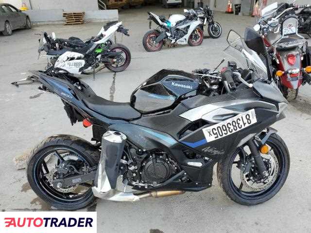 Kawasaki Pozostałe 2025 Kawasaki Pozostałe 2025