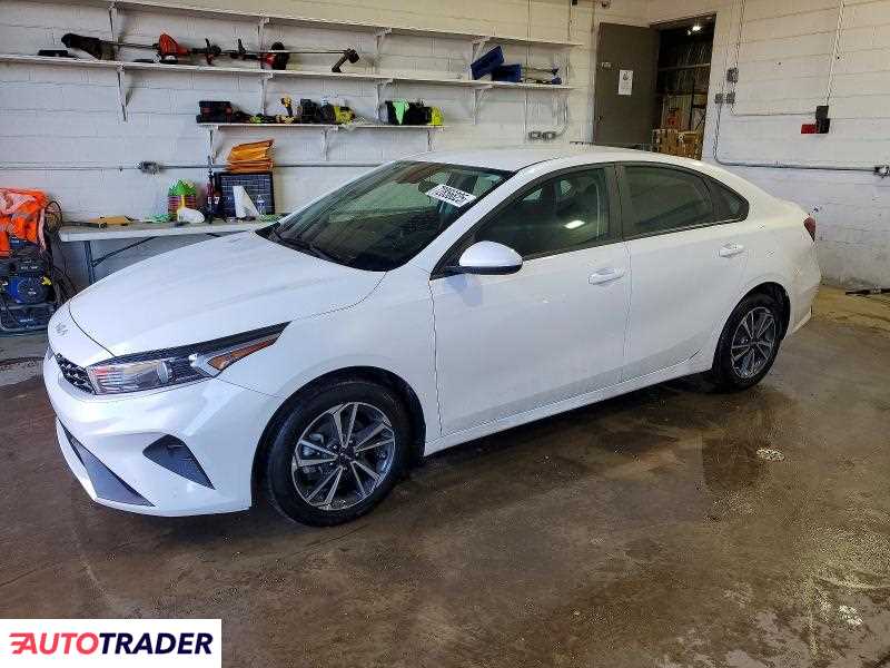 Kia Pozostałe 2024 2