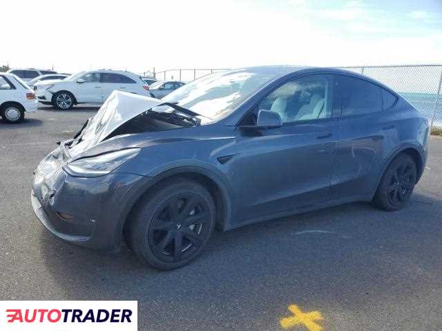 Tesla Model Y 2021