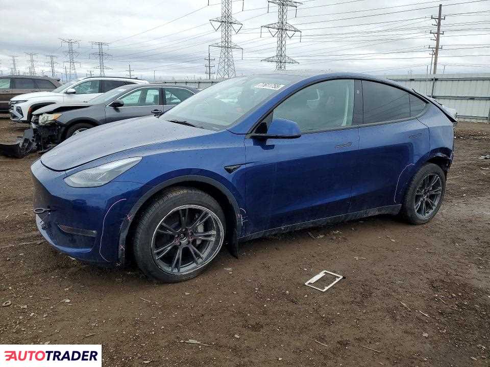 Tesla Model Y 2025