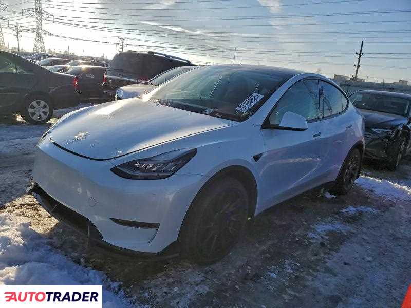 Tesla Model Y 2021