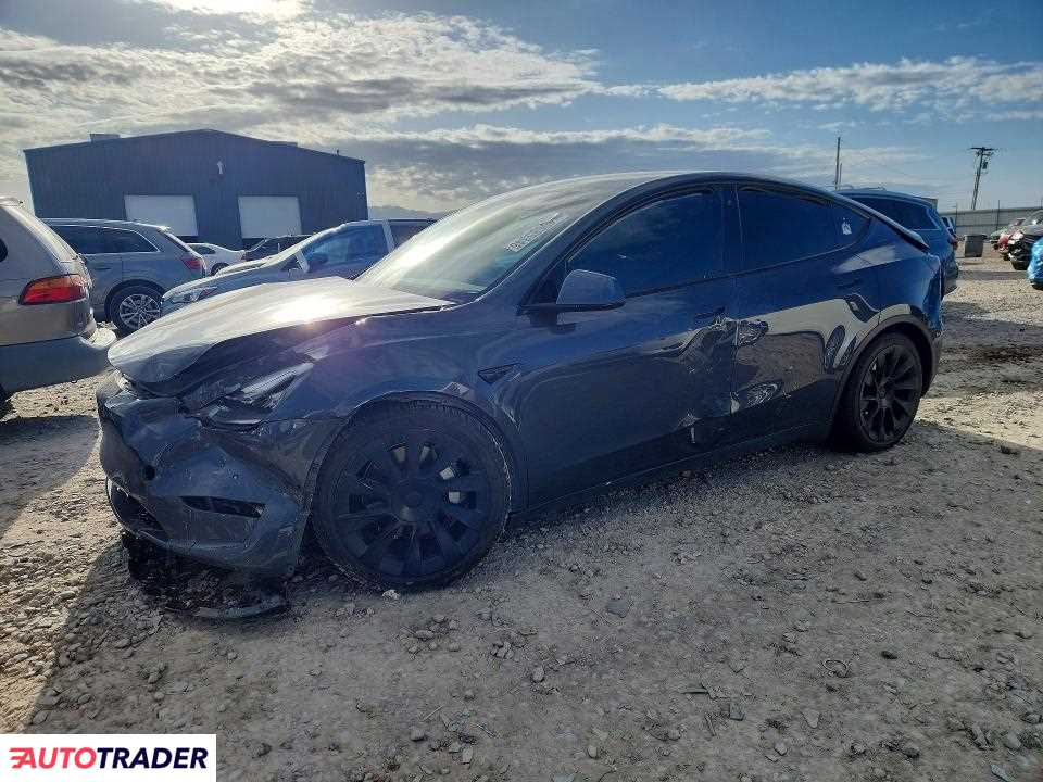 Tesla Model Y 2021