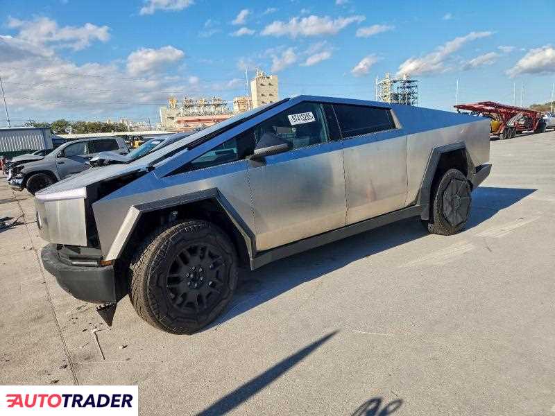 Tesla Pozostałe 2024