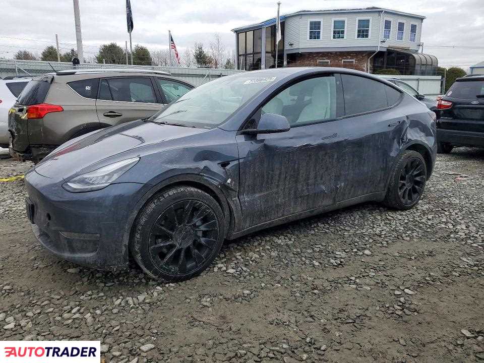 Tesla Model Y 2020