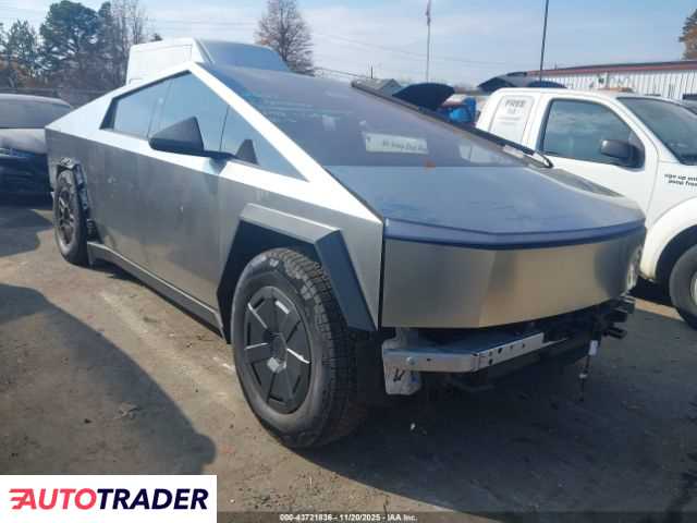 Tesla Pozostałe 2025