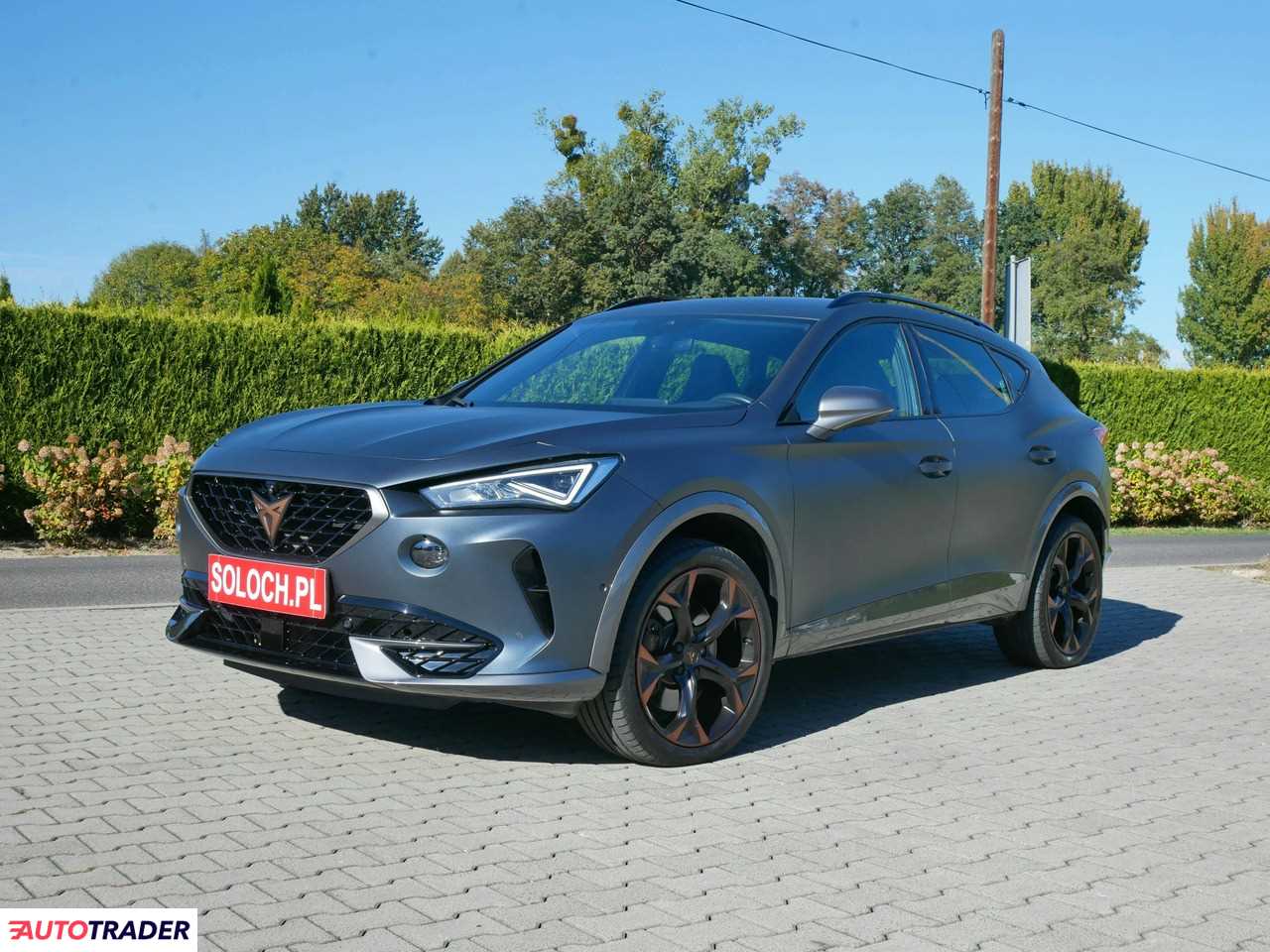 Cupra Unknown