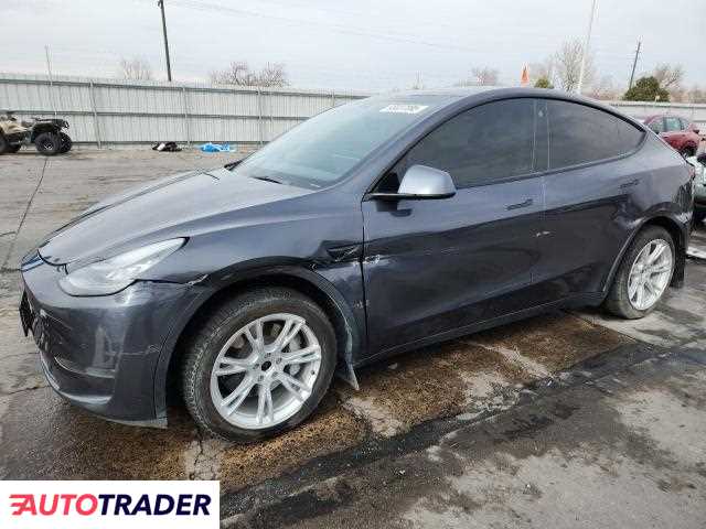 Tesla Model Y 2021