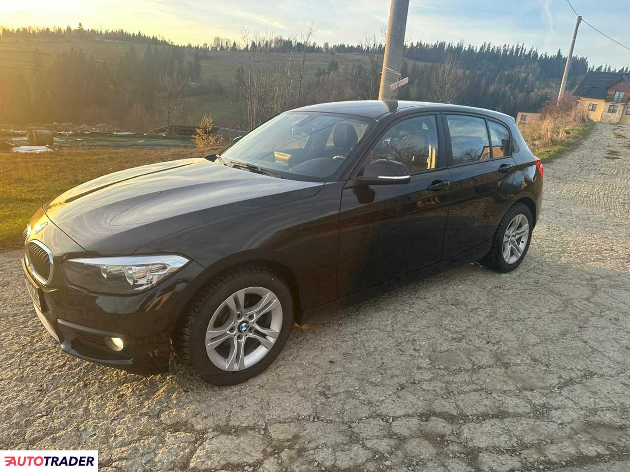 BMW 116 2015 1.5 109 KM