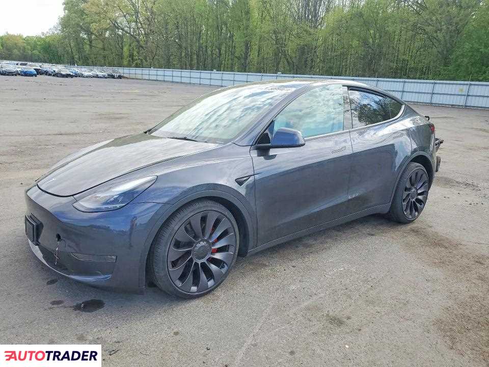 Tesla Model Y 2025