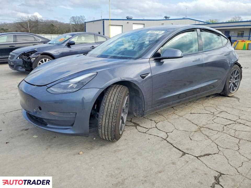 Tesla Model 3 2021