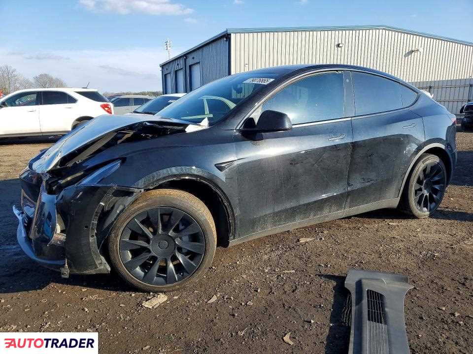 Tesla Model Y 2021