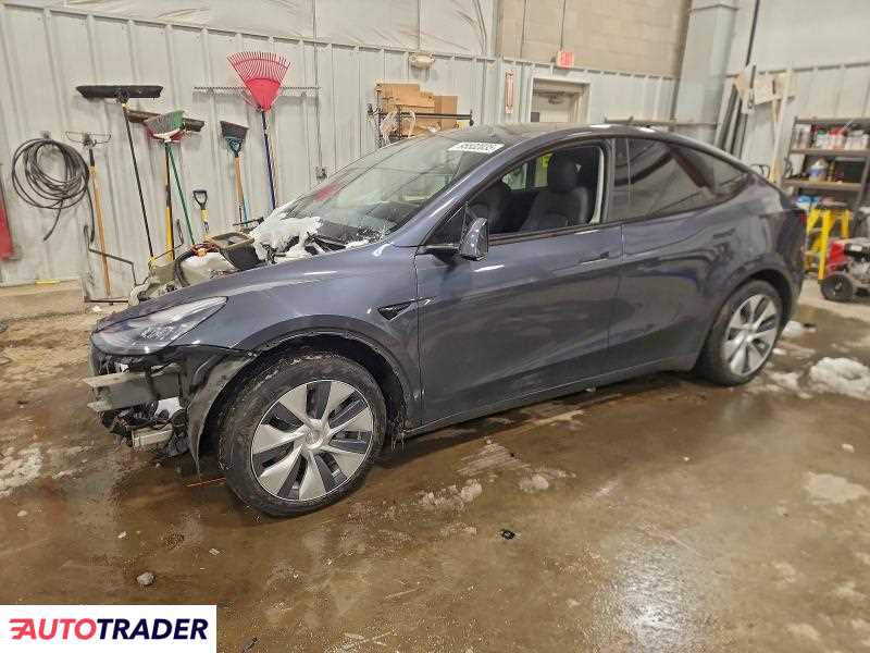 Tesla Model Y 2021