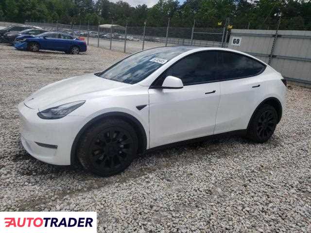 Tesla Model Y 2020