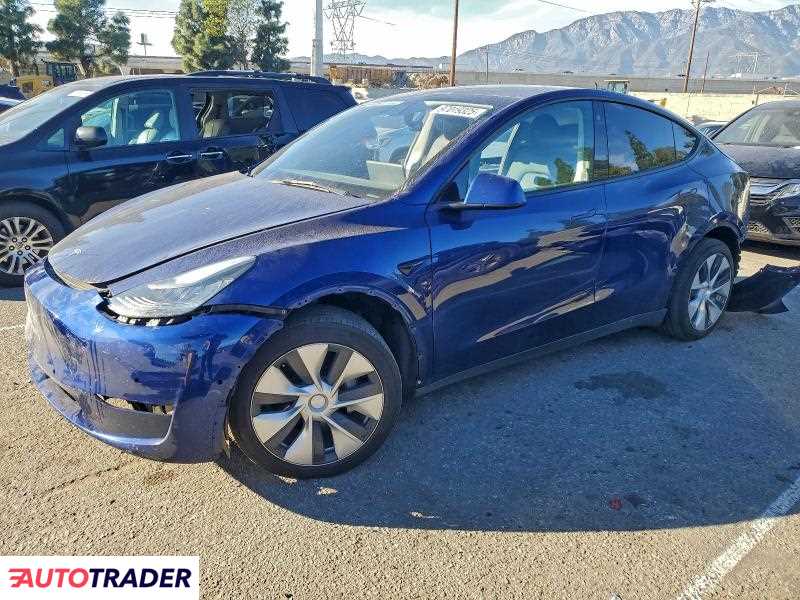 Tesla Model Y 2021