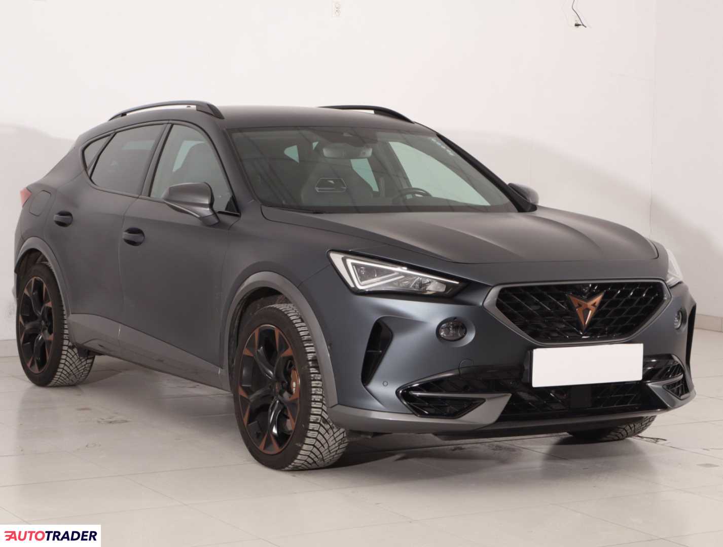 Cupra 2021 2.0 305 KM