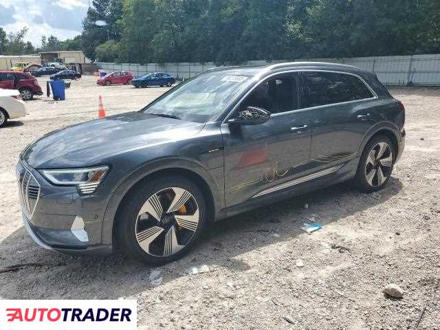 Audi E-tron 2019