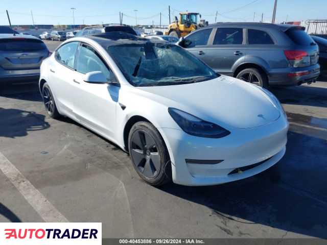 Tesla Model 3 2021