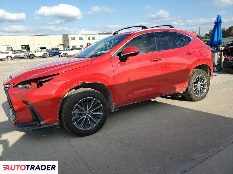 Lexus NX 2024 2