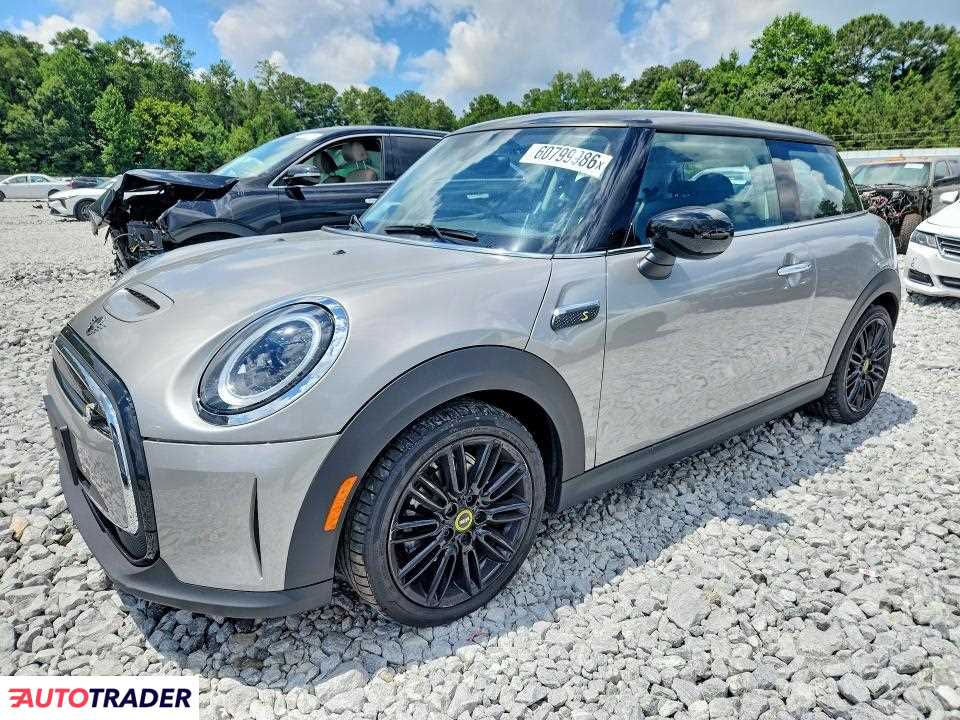 Austin Mini 2024