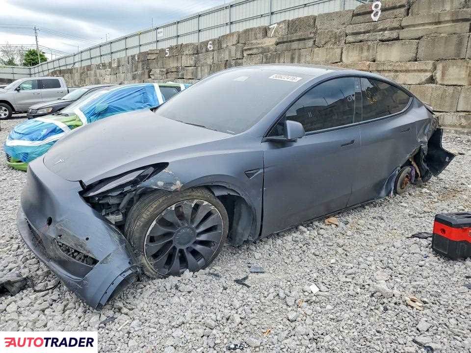 Tesla Model Y 2020