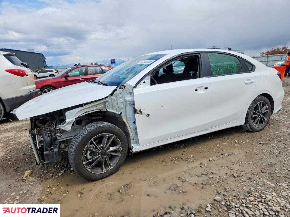 Kia Pozostałe 2022 2