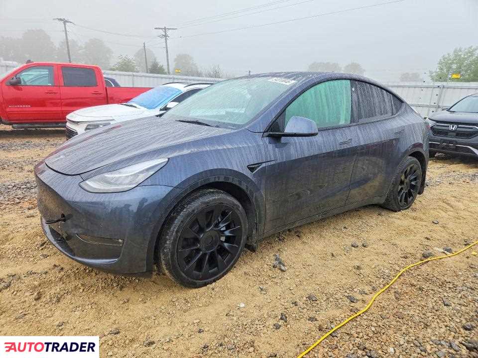 Tesla Model Y 2021