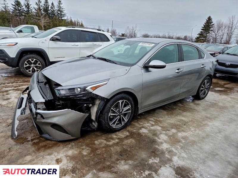 Kia Pozostałe 2022 2