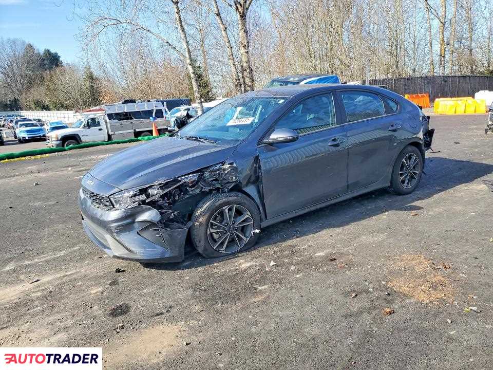 Kia Pozostałe 2024 2