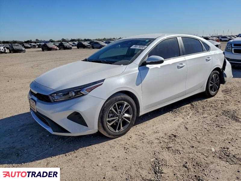 Kia Pozostałe 2024 2