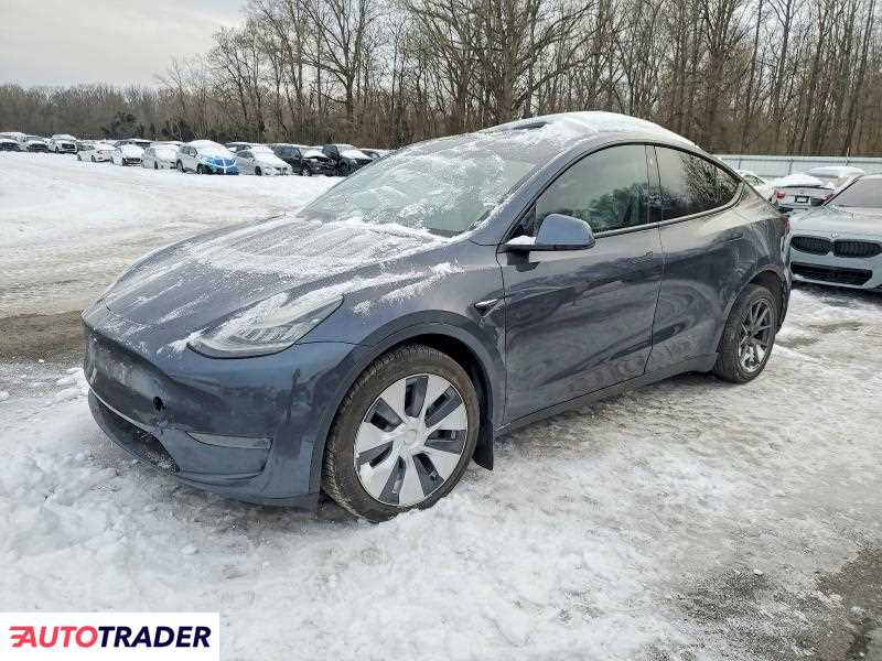 Tesla Model Y 2021