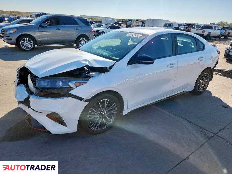 Kia Pozostałe 2024 2