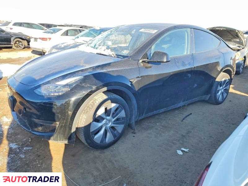 Tesla Model Y 2024
