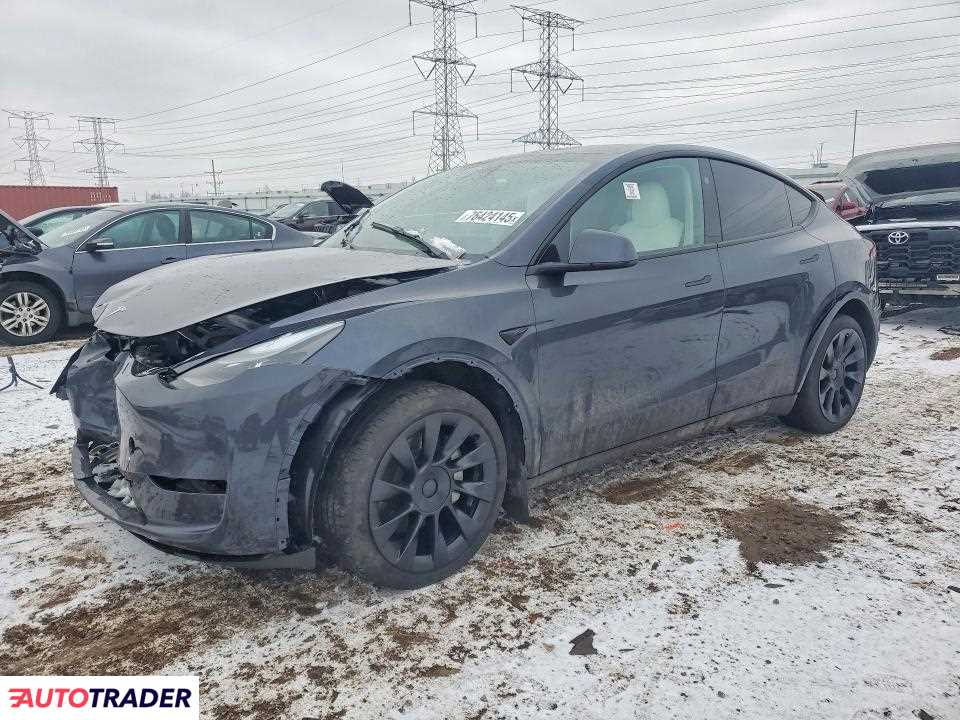 Tesla Model Y 2024