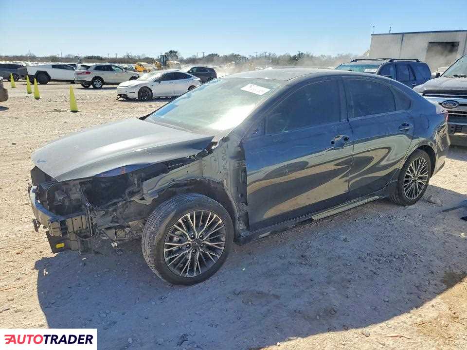 Kia Pozostałe 2024 2