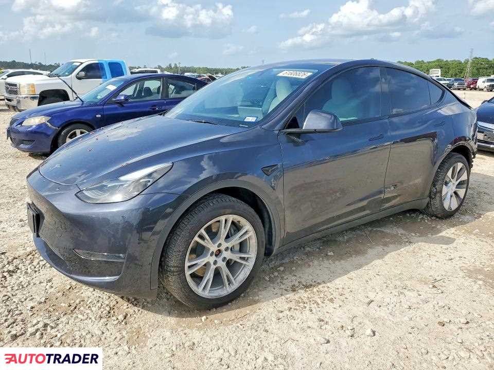 Tesla Model Y 2024