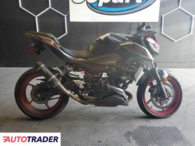 Kawasaki Z 2024