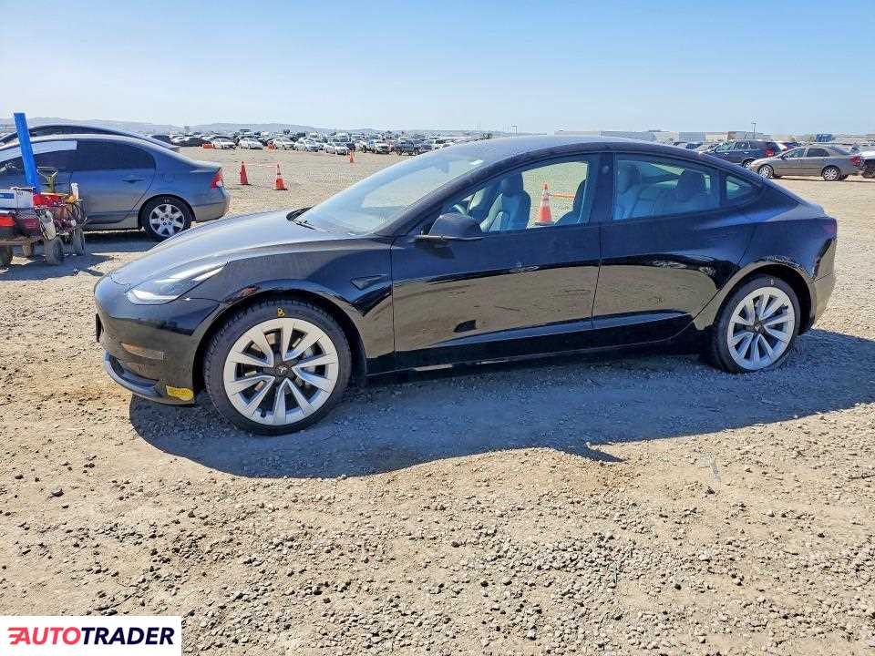 Tesla Model 3 2021