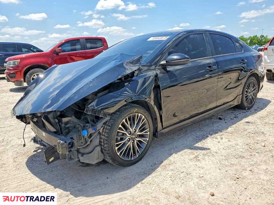 Kia Pozostałe 2024 2